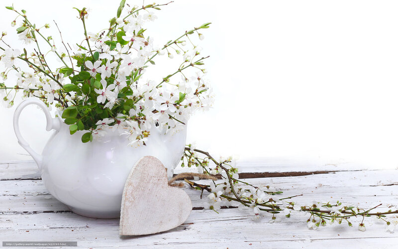White flowers in a teapot