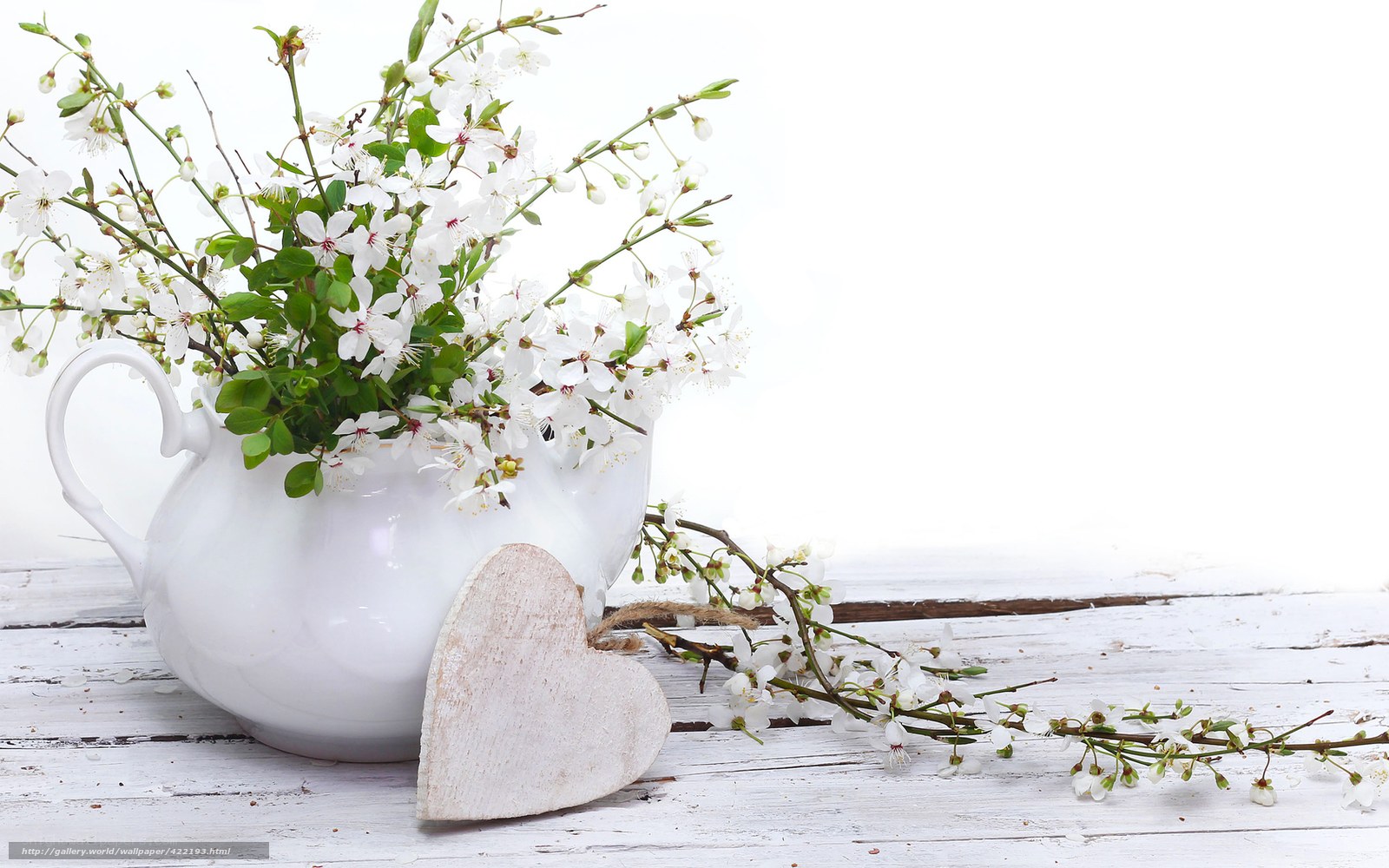 White flowers in a teapot