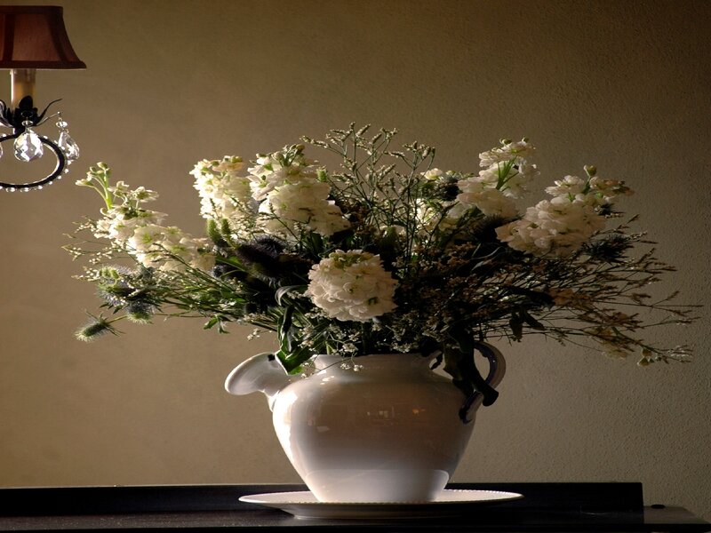 white flowers in a vase