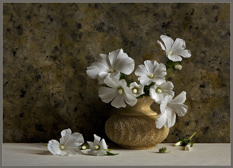 White flowers in a vase