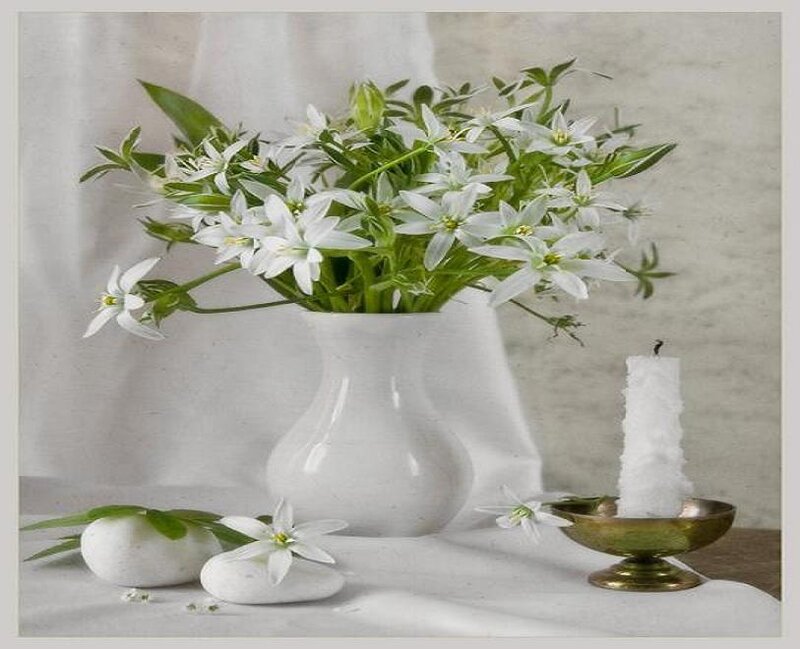 White flowers in a vase
