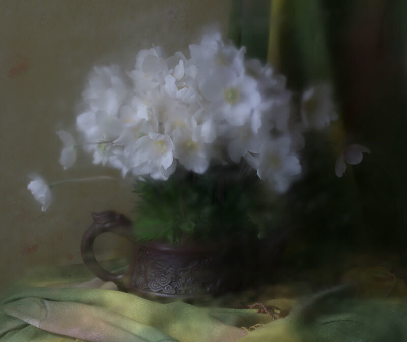 White flowers in a vase