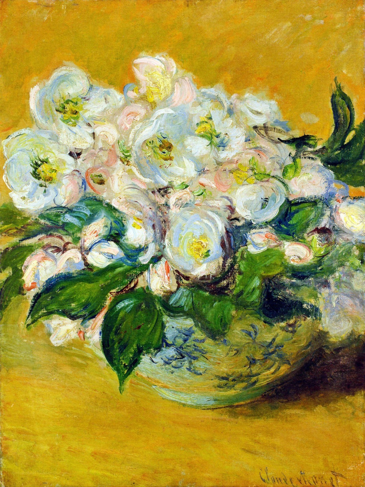 White Flowers in a Vase