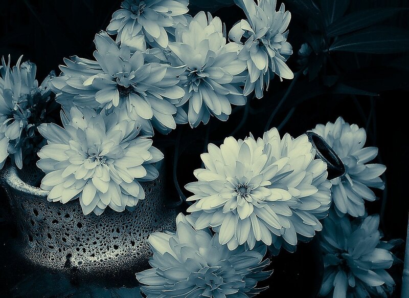 White Flowers in a Vase — Blue, Dramatic