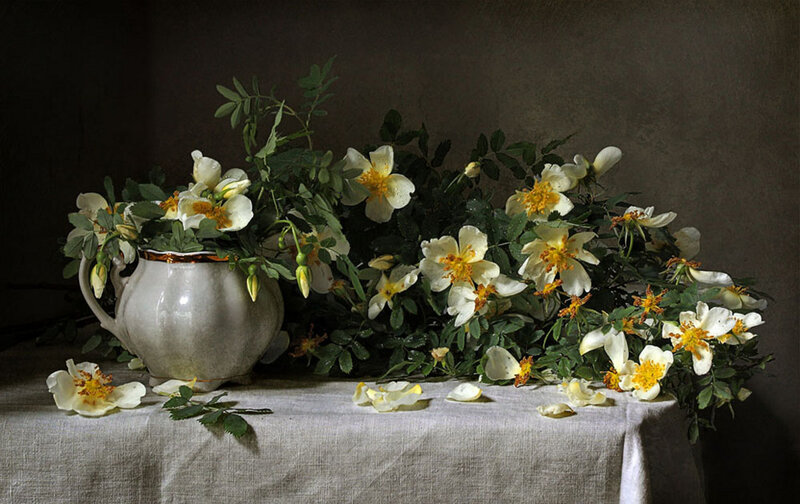 White Flowers in a Vase — Calm, Photograph