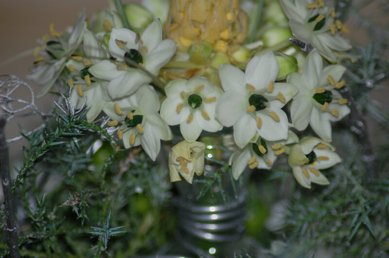 White Flowers in a Vase — Calm