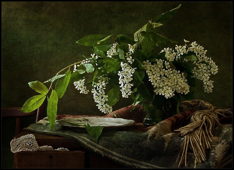White Flowers in a Vase — Green, Serene