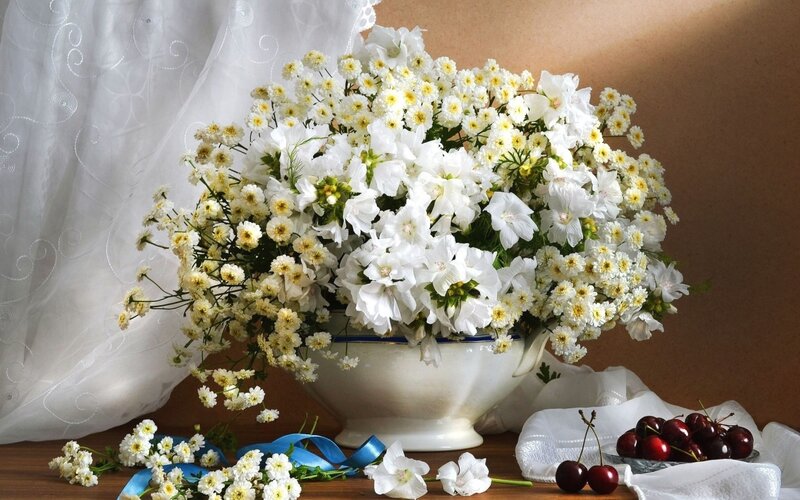 White Flowers in a Vase — Serene, Afternoon