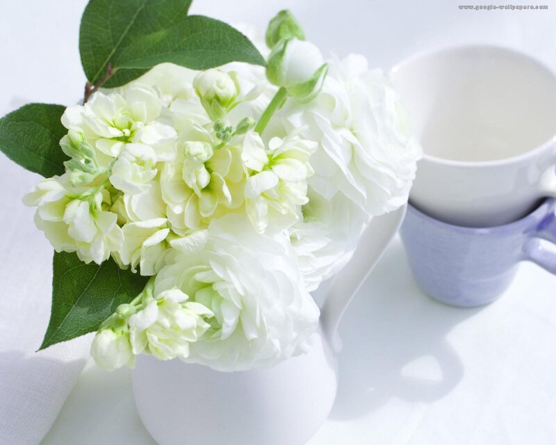 White Flowers in a Vase — Serene, Morning