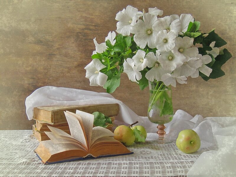 White Flowers in a Vase — Serene, Photograph, Books
