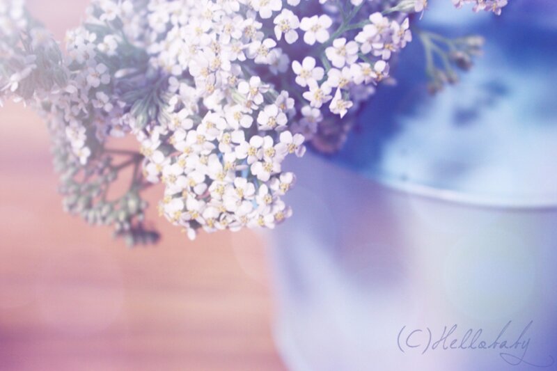 White Flowers in a Vase — Serene, Photograph, Wooden Surface