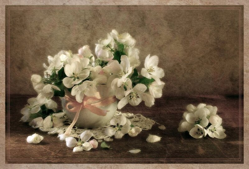 White Flowers in a Vase — Serene, Spring