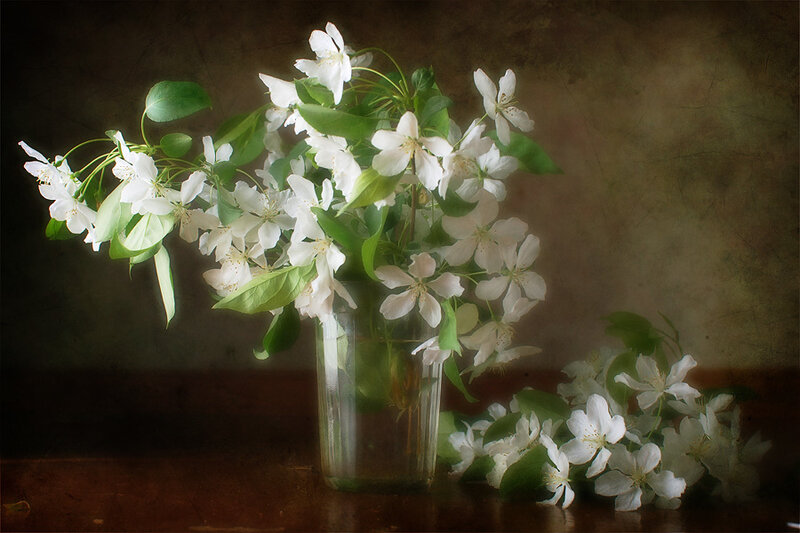 White Flowers in a Vase — Serene