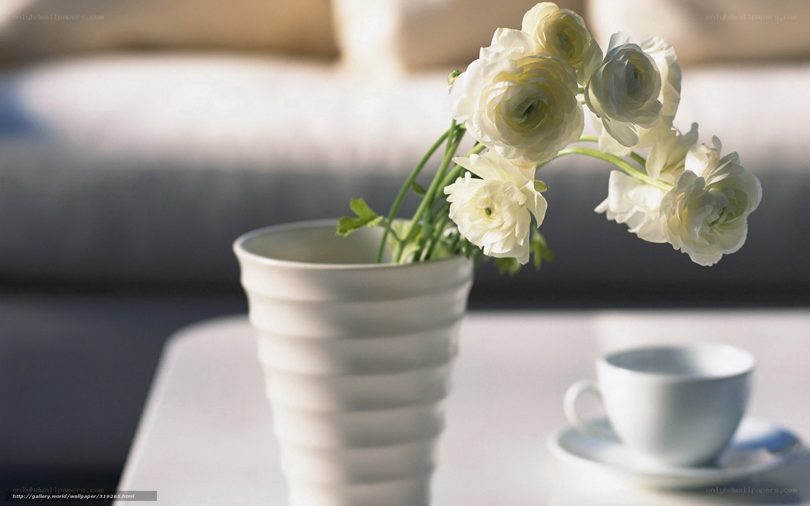 White flowers in a vase