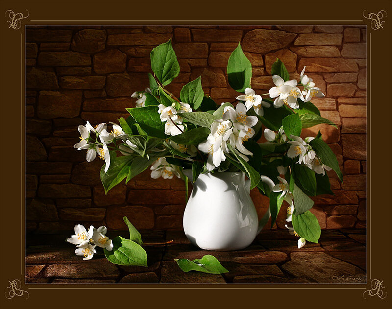 white flowers in a white pitcher