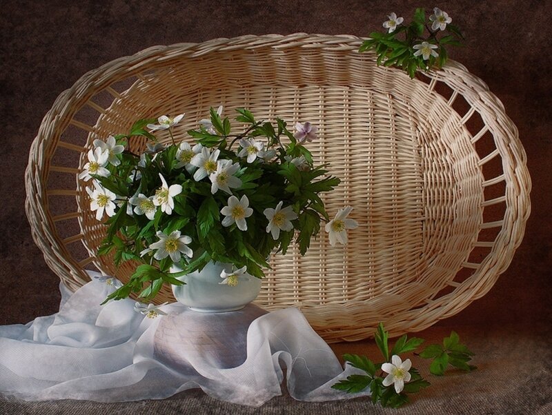 White Flowers in Basket — Beige