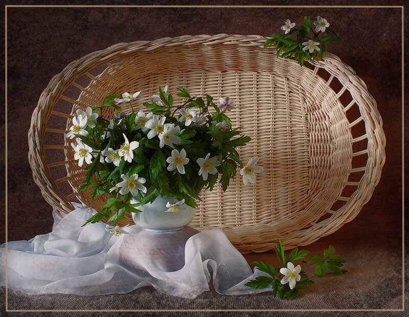 White Flowers in Basket — Brown