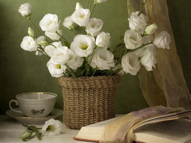 White Flowers in Basket — Green