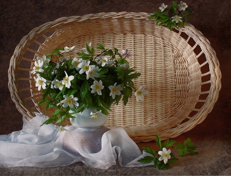 White Flowers in Basket — Serene, Photograph