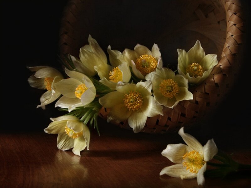 White Flowers in Basket — Yellow, Dramatic, Photograph