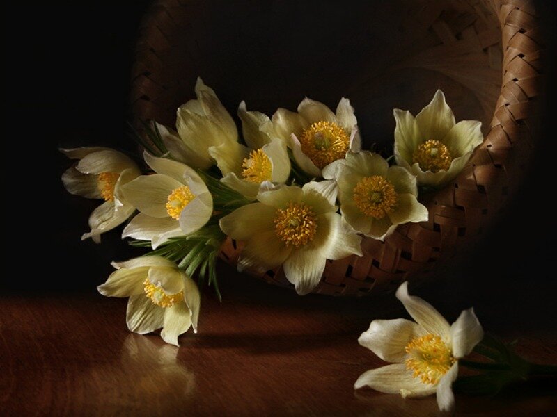 White Flowers in Basket — Yellow, Dramatic