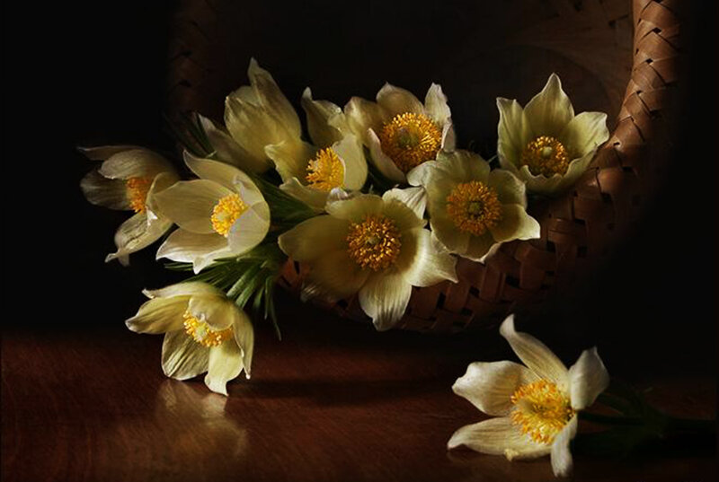 White Flowers in Basket — Yellow
