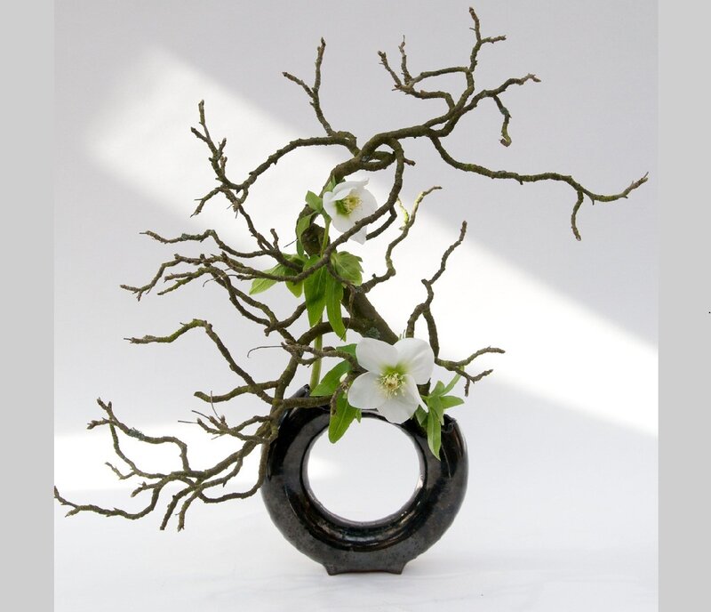 White Flowers in Black Vase — Serene