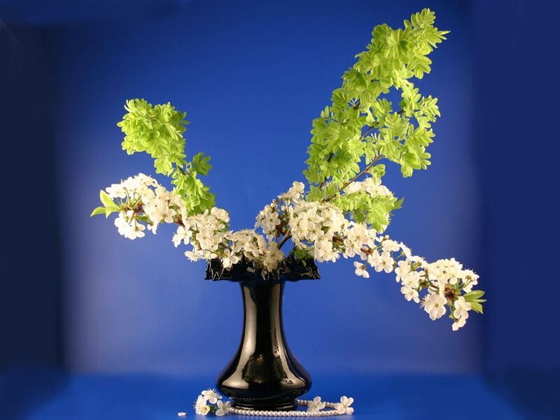 White Flowers in Black Vase
