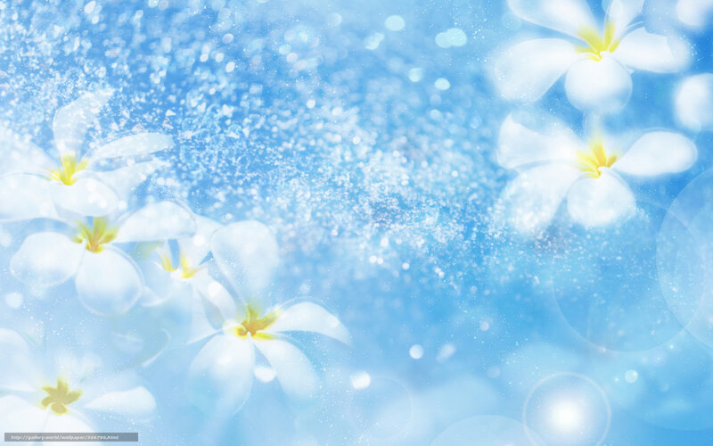 White Flowers in Blue Background — Serene, Digital Art