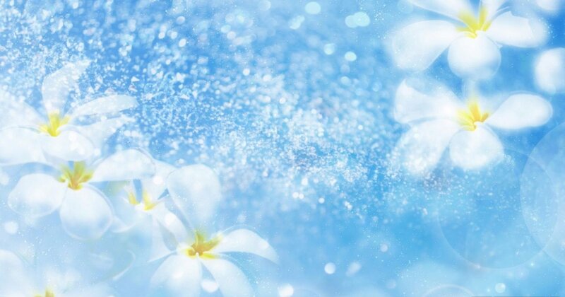 White Flowers in Blue Background — Serene