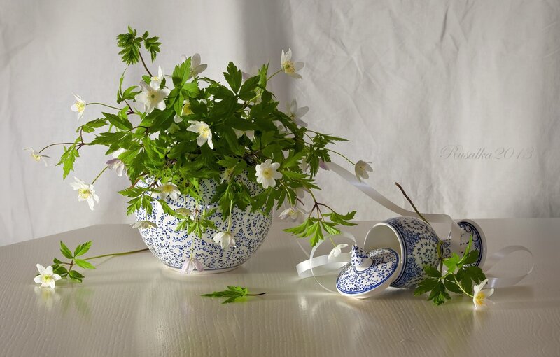 White Flowers in Blue Vase — Serene, Spring