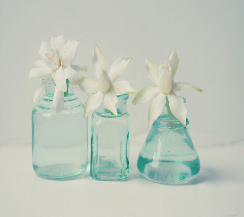 White Flowers in Bottles — Serene
