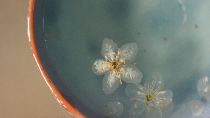 White Flowers in Bowl — Blue