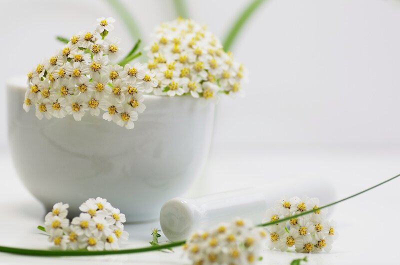 White Flowers in Bowl — Serene