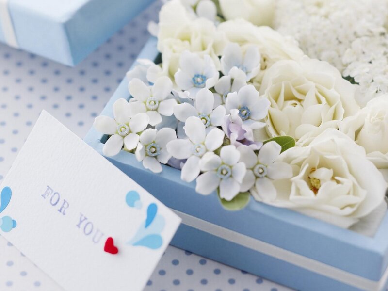 White Flowers in Box — Blue, Calm