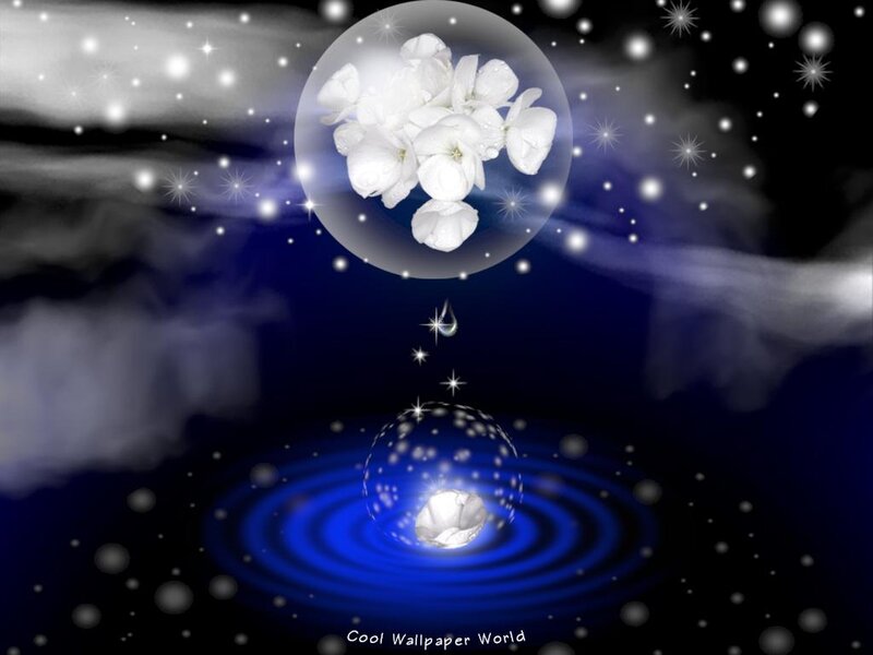 White Flowers in Bubbles