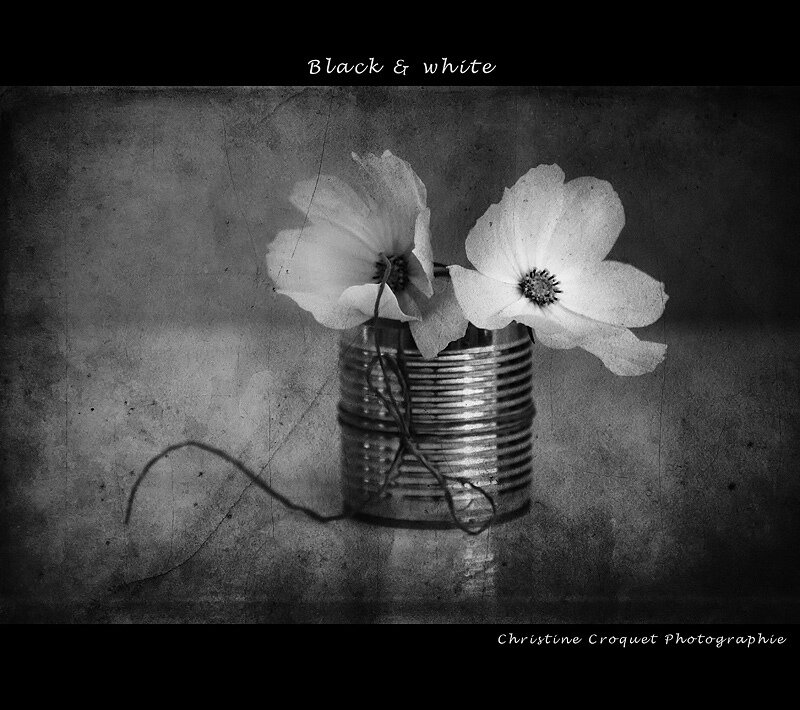 White Flowers in Can