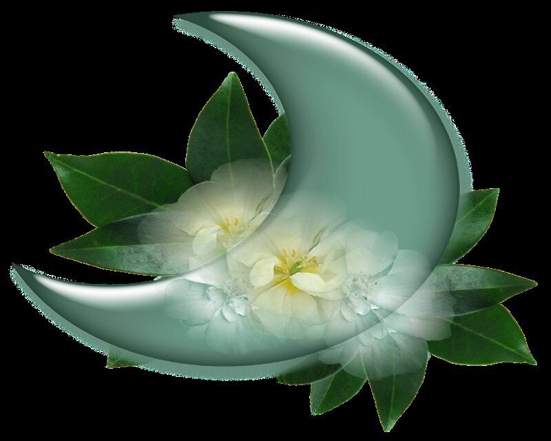 White Flowers in Crescent Moon