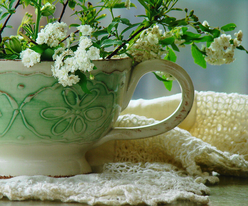White Flowers in Cup — Green