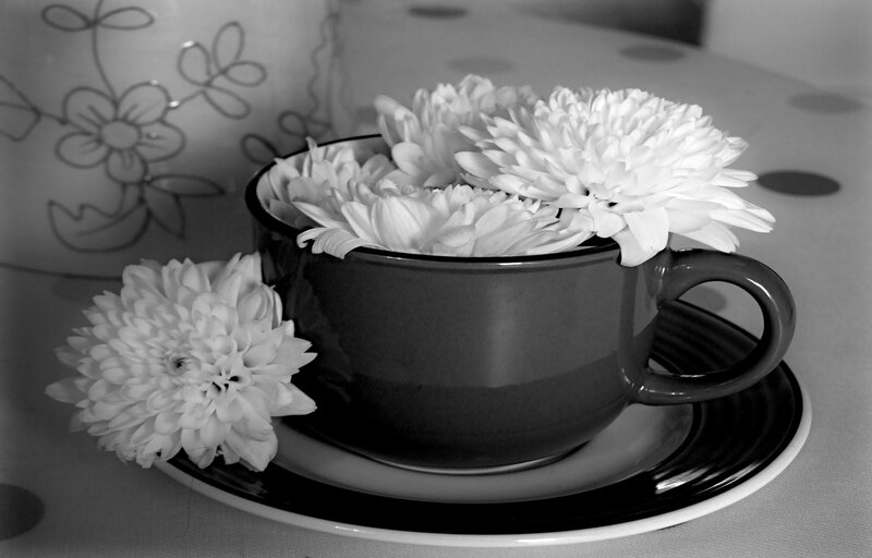 White Flowers in Cup