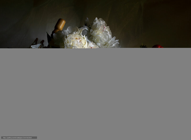 white flowers in dim light