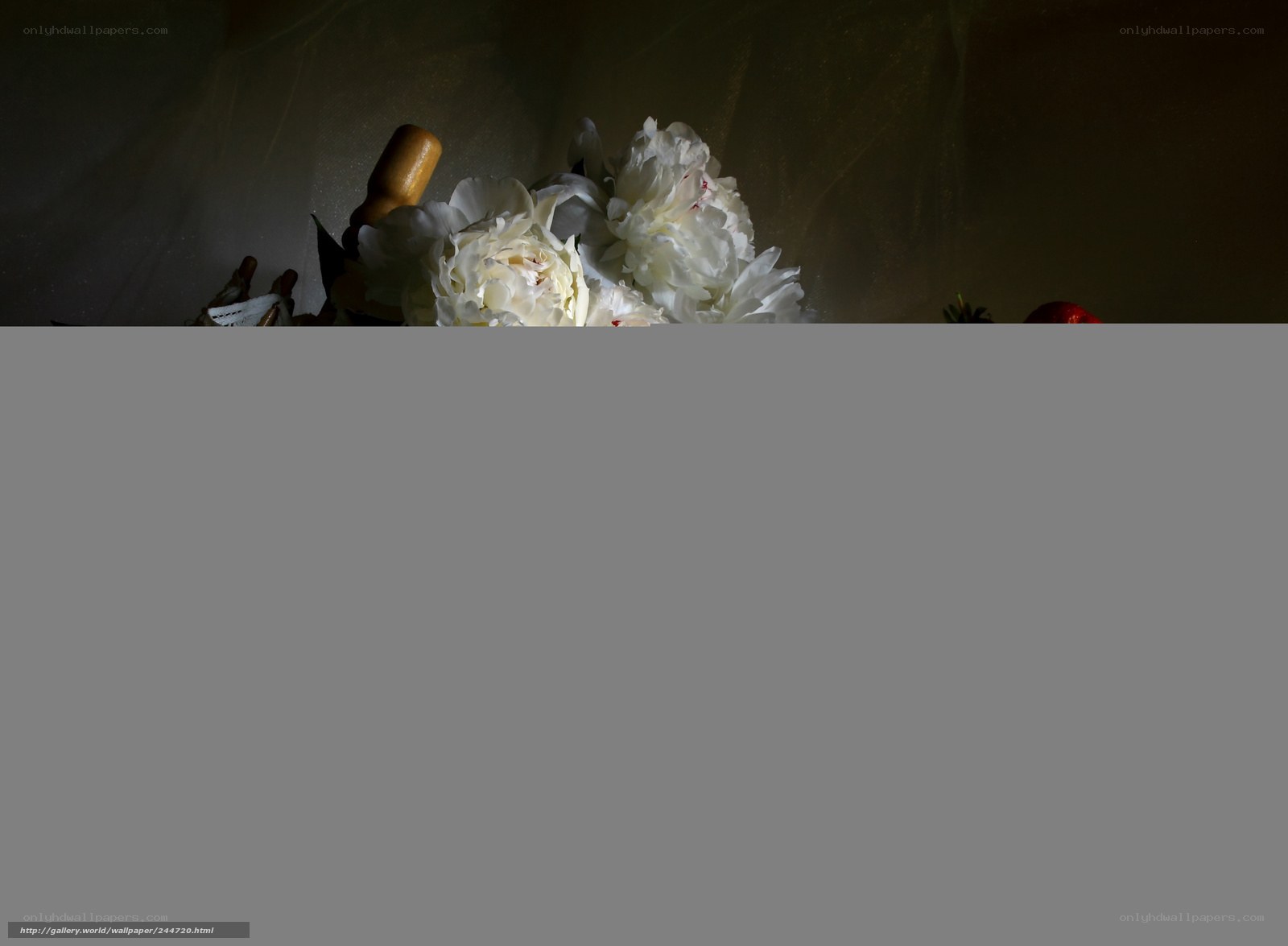 white flowers in dim light