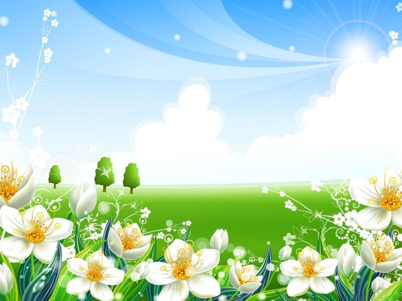 White Flowers in Field