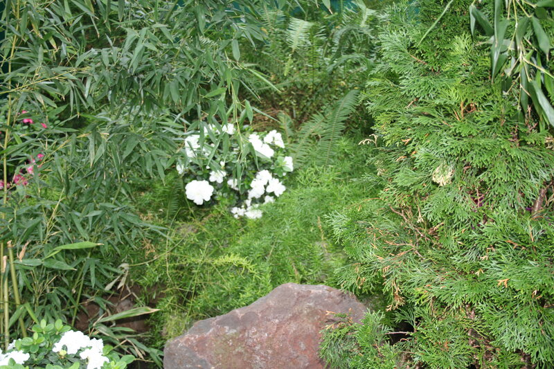 White Flowers in Garden — Green