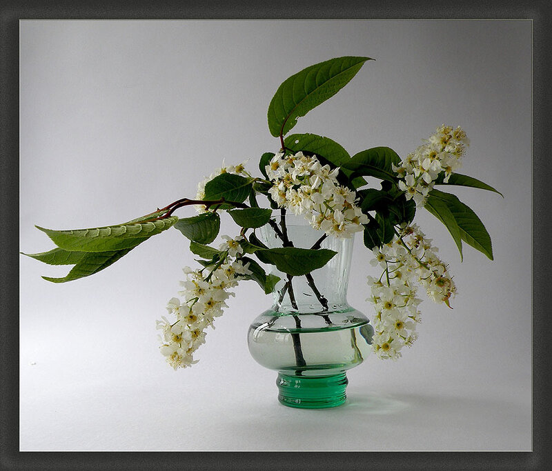 White Flowers in Glass Vase — Green