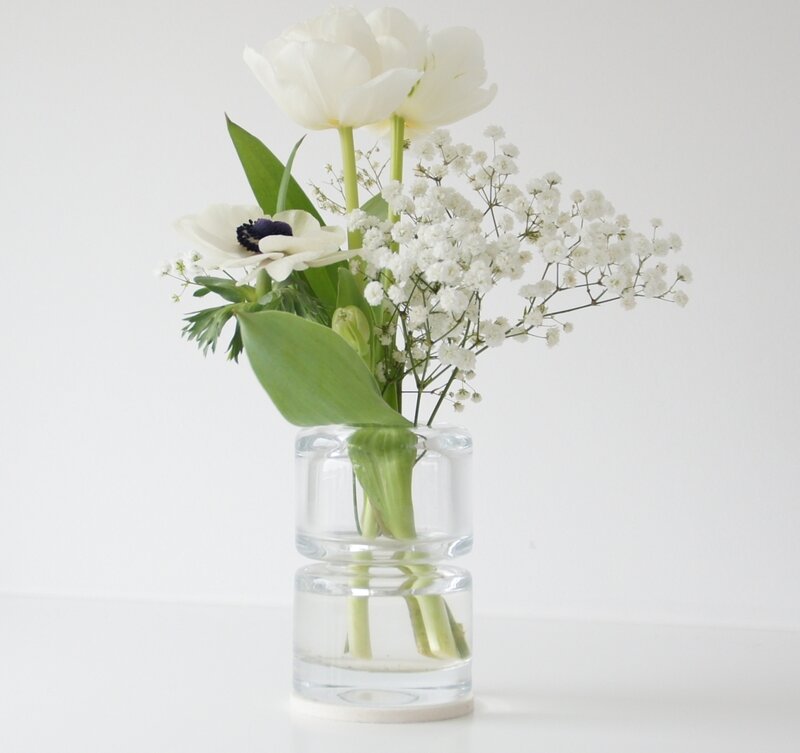 White Flowers in Glass Vase — Serene, Photograph