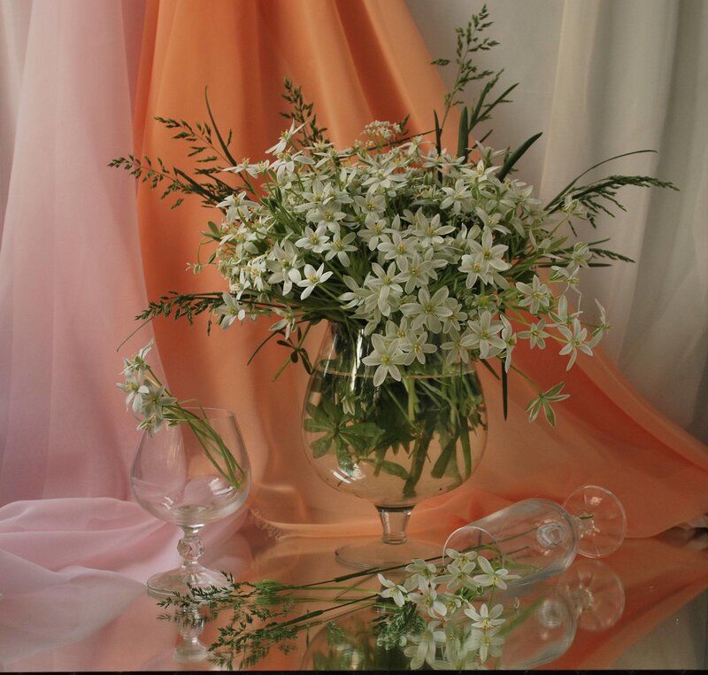 White Flowers in Glass Vases