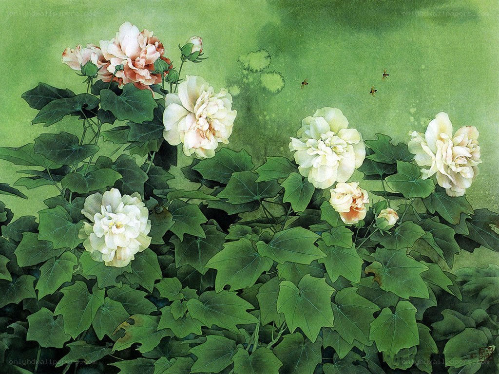 White flowers in green garden