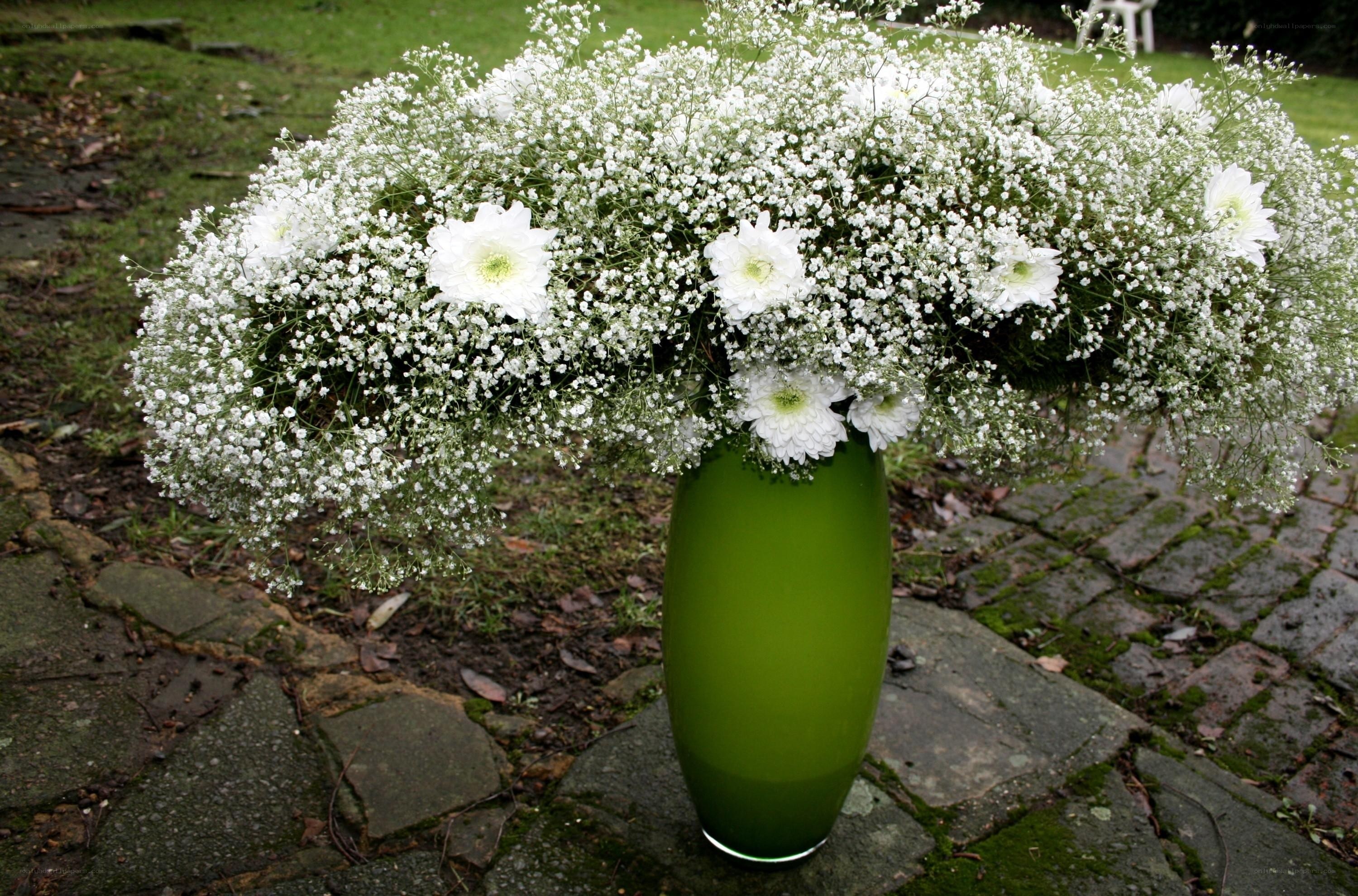 White flowers in green vase