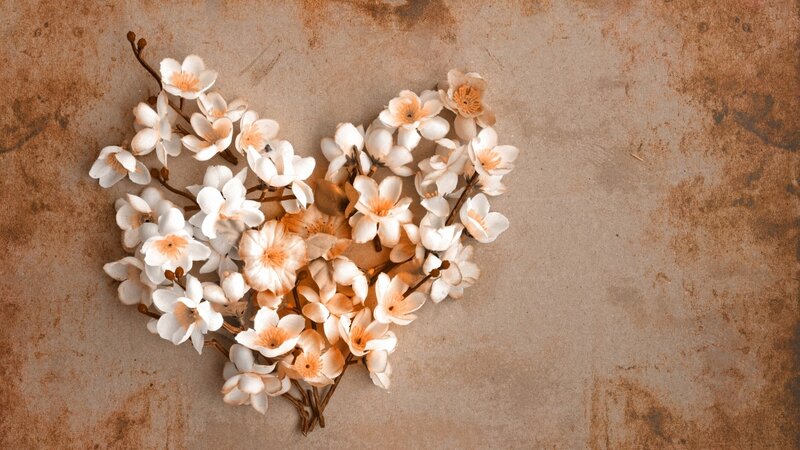 White Flowers in Heart Shape — Brown